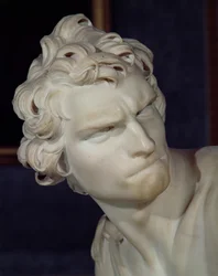 David, detail of the head, 1623-23, marble